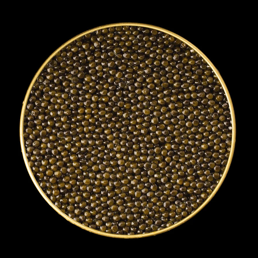 Royal Ossetra Caviar