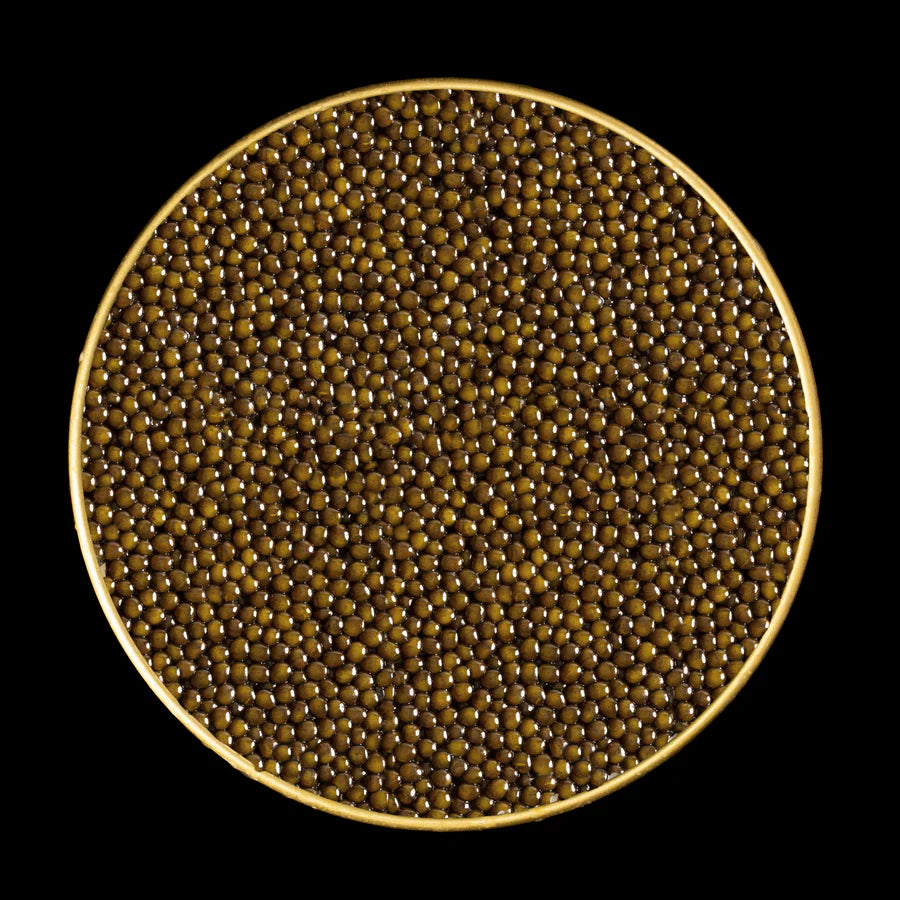 Kaluga Hybrid Caviar